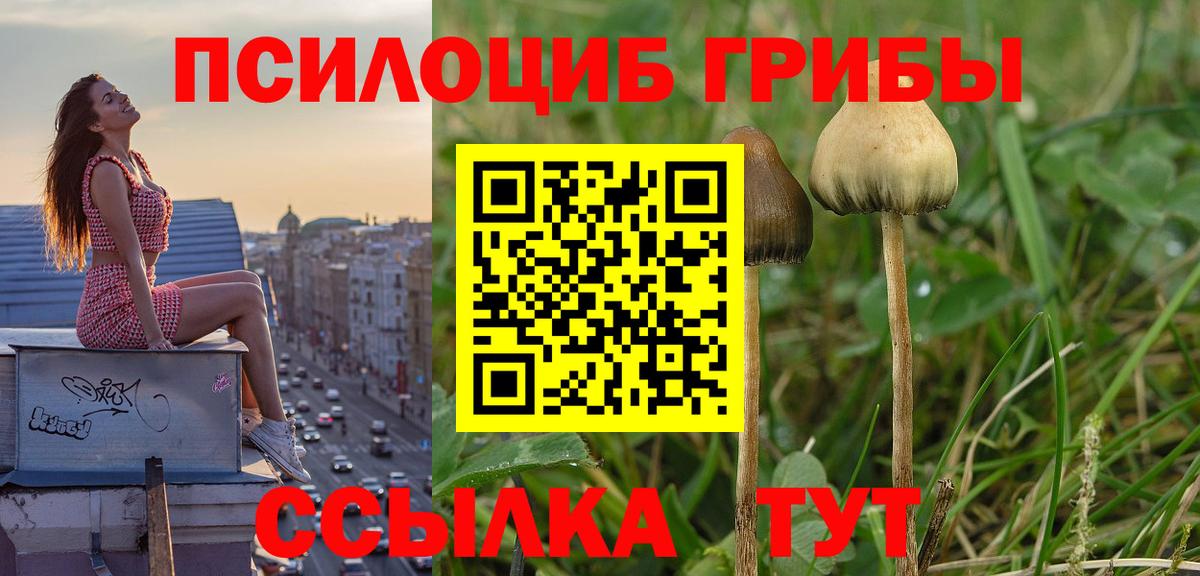 Новошахтинск  Галлюциногенные грибы прущие грибы  Галлюциногенные грибы Magic Shrooms  Вход с VPN 